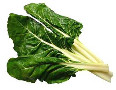 Acelga