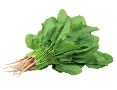Espinaca