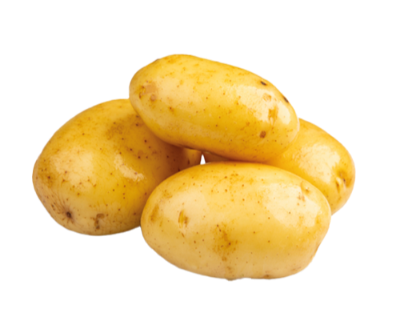 Papa